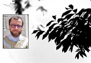 Lire la suite à propos de l’article Homélie du Dimanche 24 novembre 2024 | Père Rémi-Gabriel Perchot